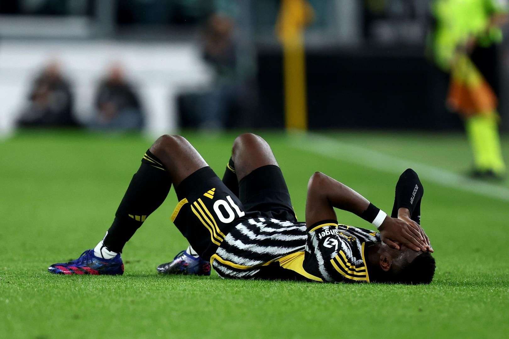 他们的复出 他们的复出