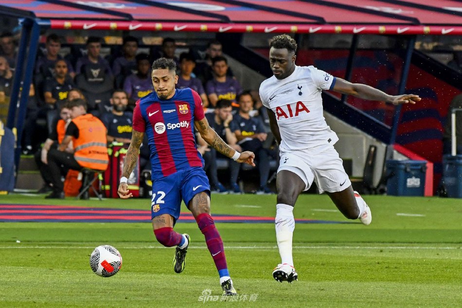 的排球资格 的排球资格