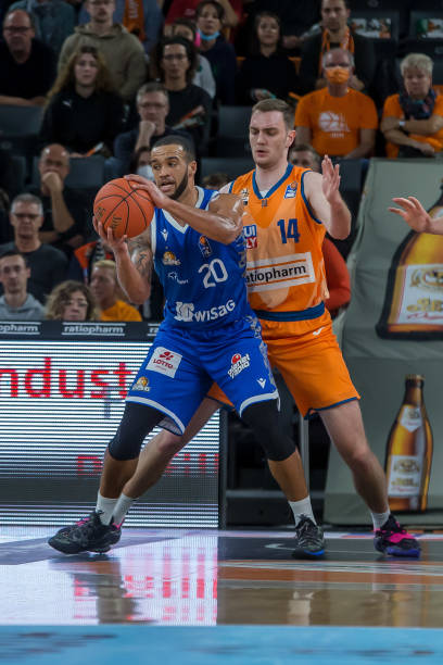 他们都翘首 他们都翘首